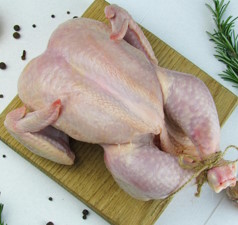 Pastured Poultry