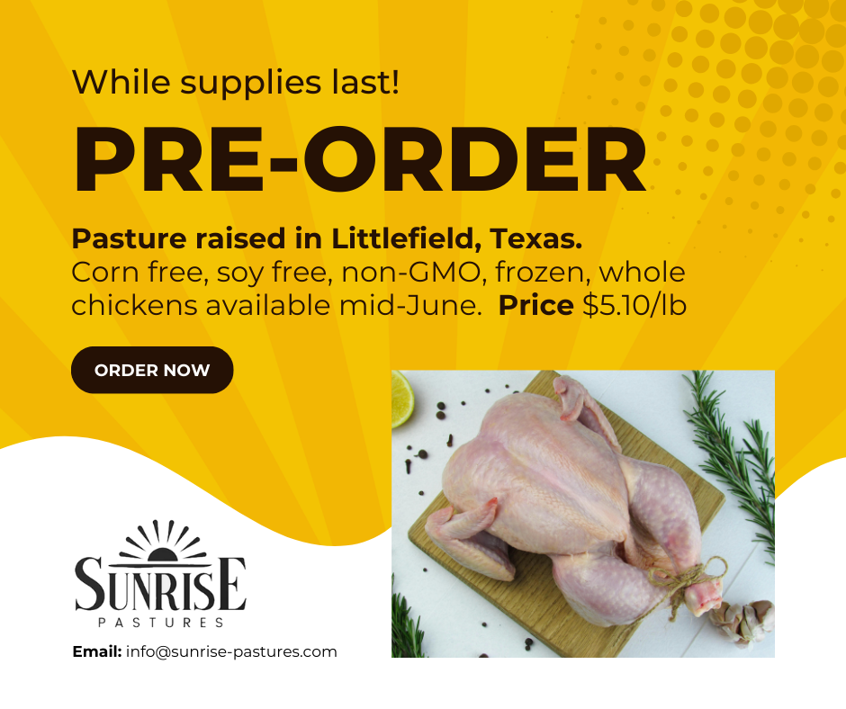 Pre-Order